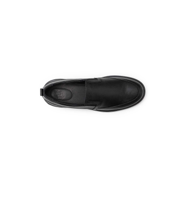Ariom Slipon