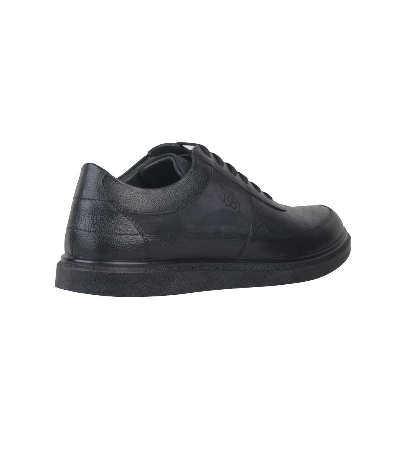 Ariom Perforated BC Lace