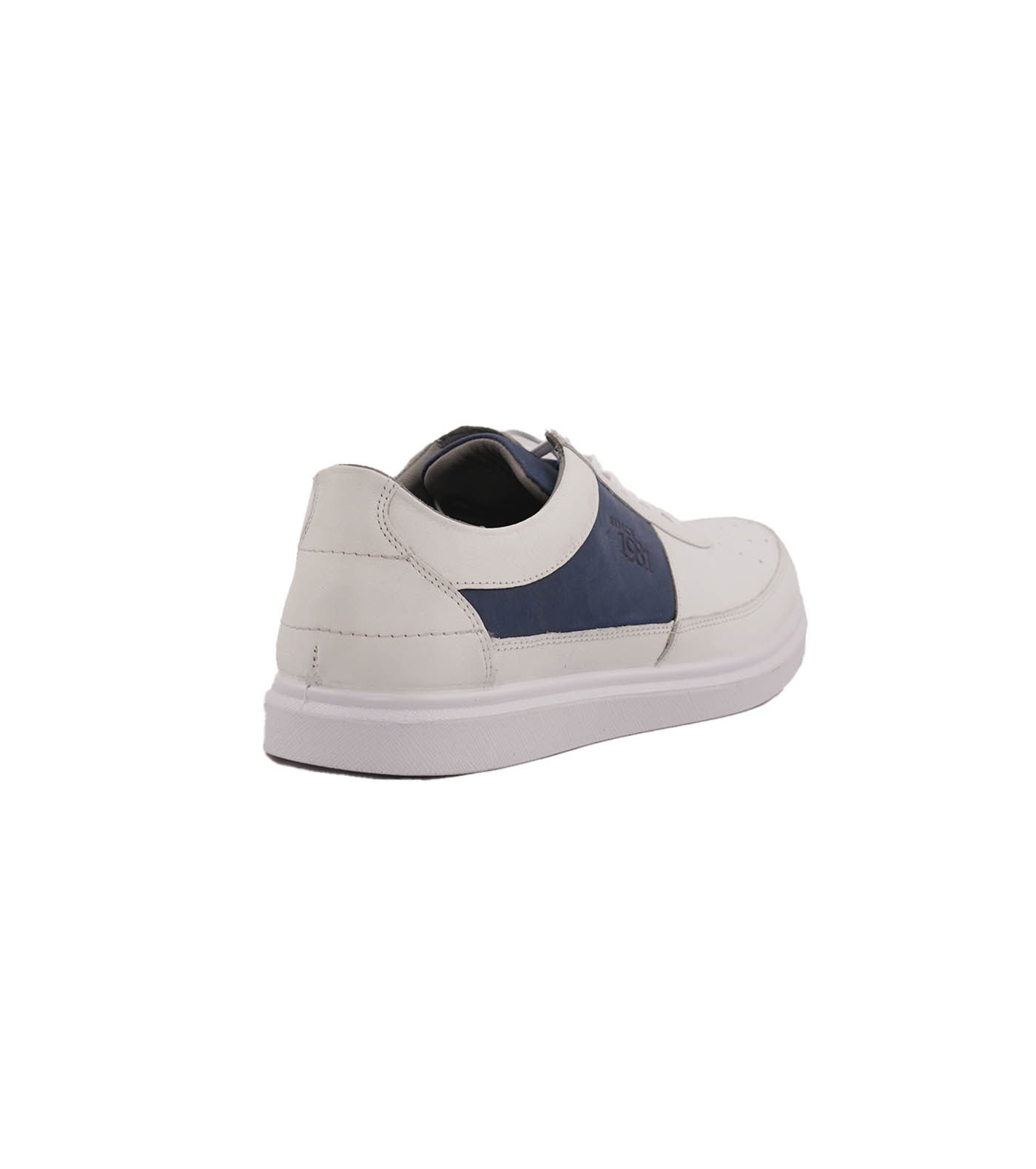 Ariom Perforated BC Lace