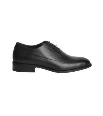 Araz Plaintoe