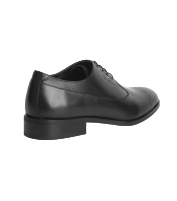 Araz Plaintoe