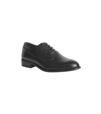 Araz Plaintoe