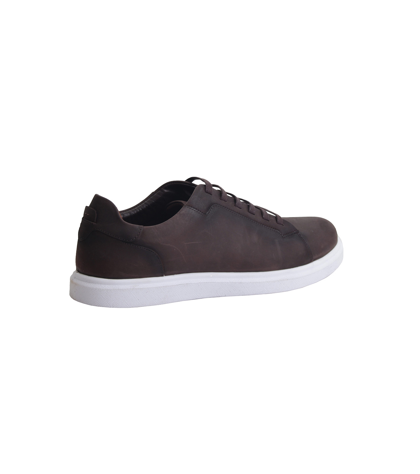 Ariom Lace VI