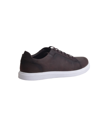 Ariom Lace VI