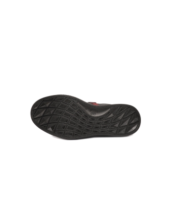 Ariol QF II