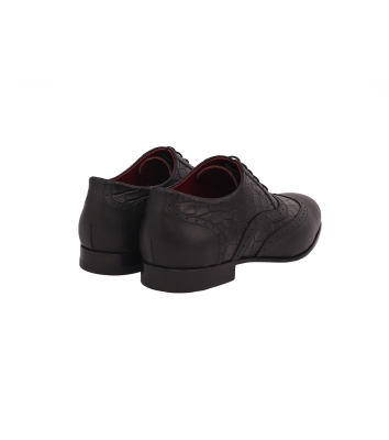 Araad Oxford II
