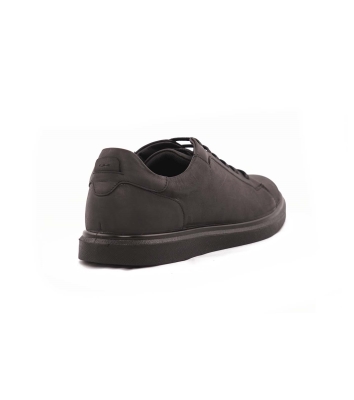 Ariom Lace VI