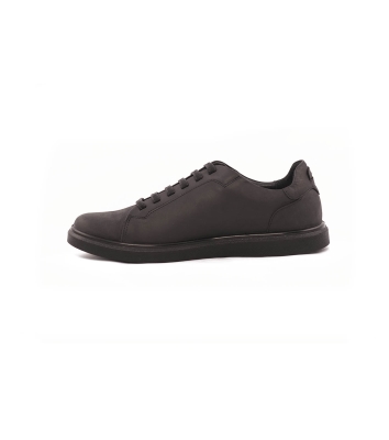 Ariom Lace VI