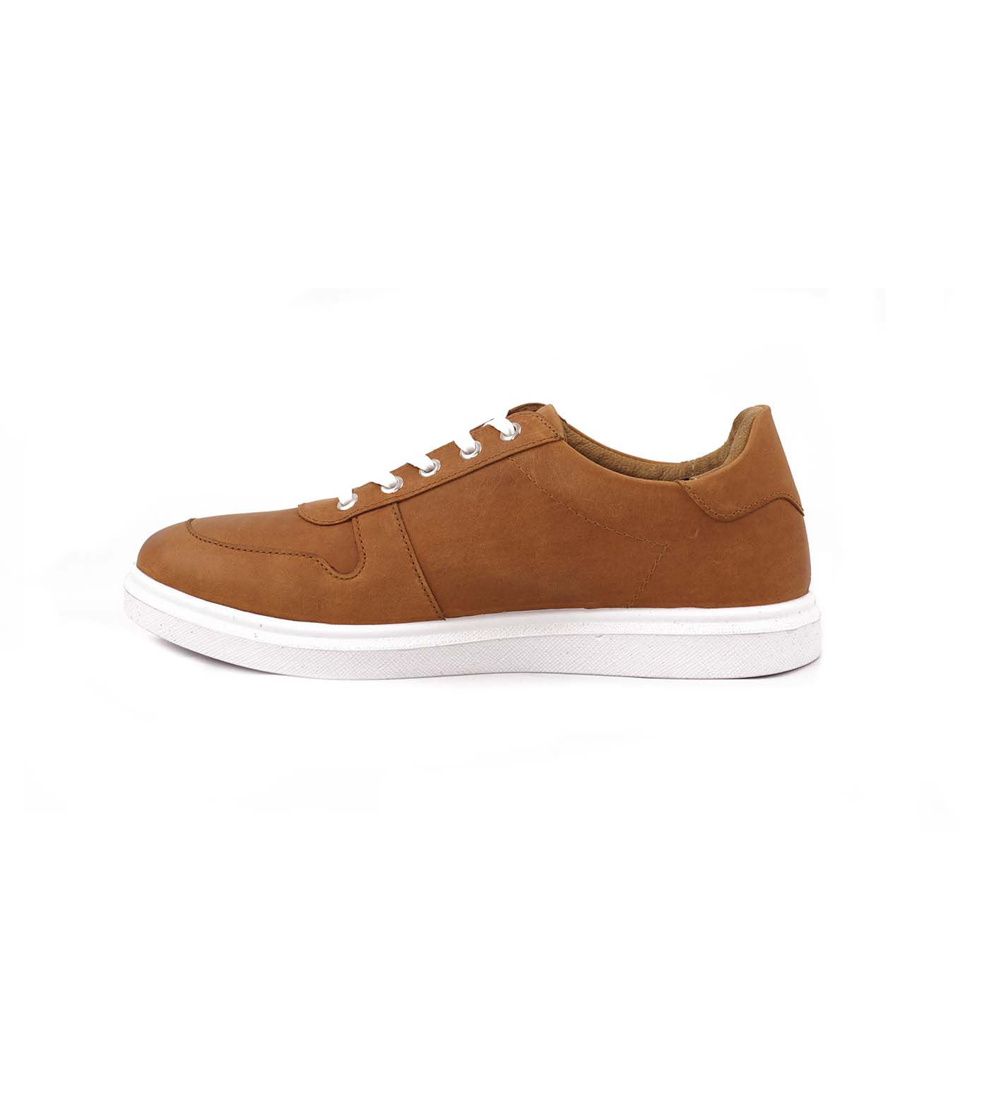 Ariol Animal Lace