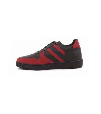 Rayka Lace Stripes