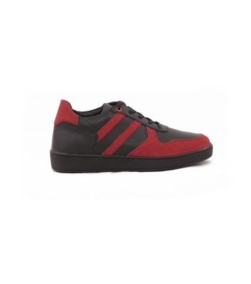 Rayka Lace Stripes