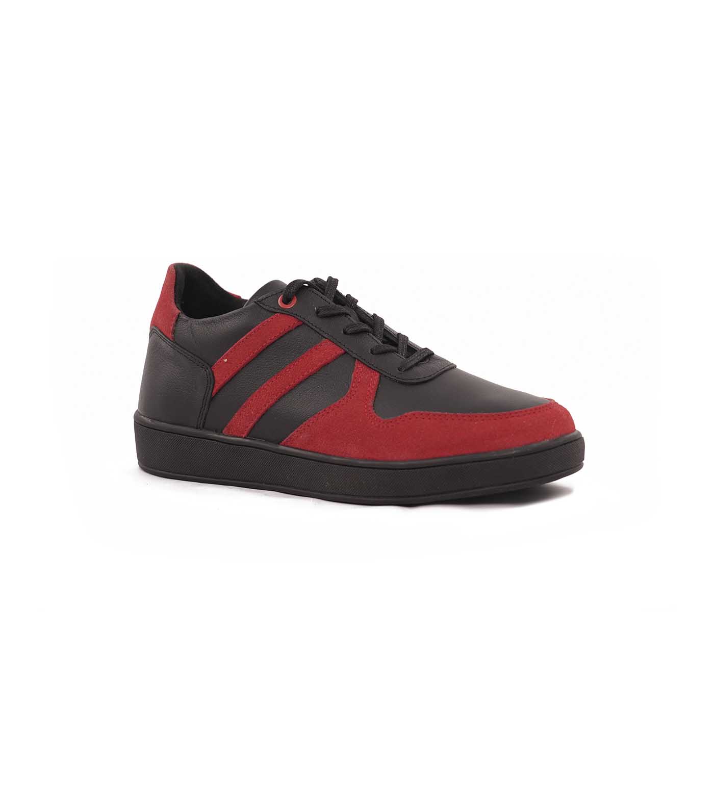Rayka Lace Stripes