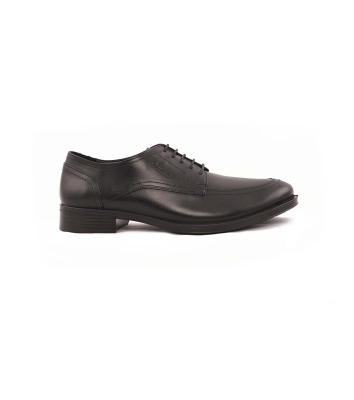 Abtin Lace ATA