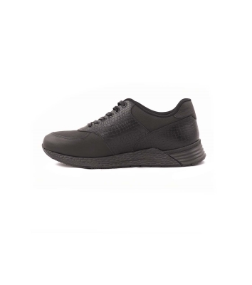 Arshia Sneaker