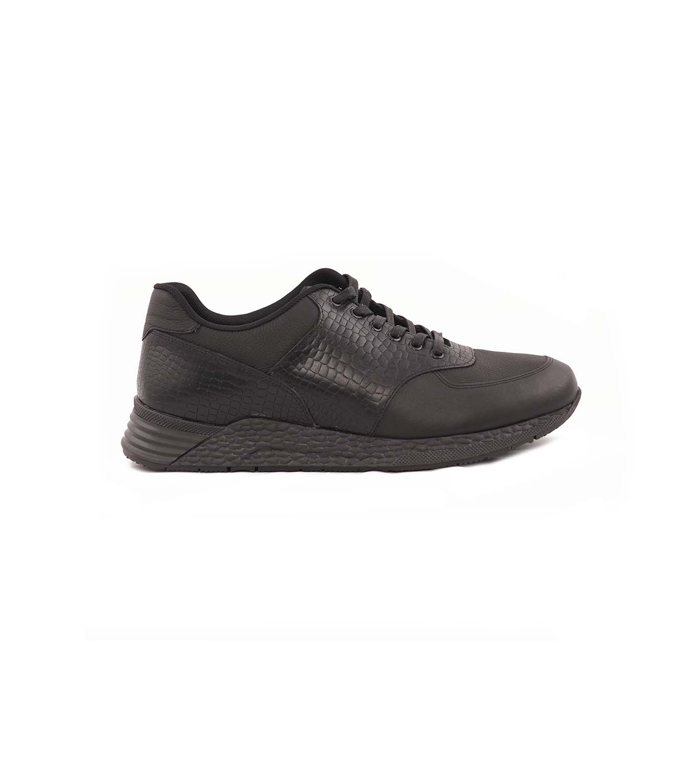 Arshia Sneaker