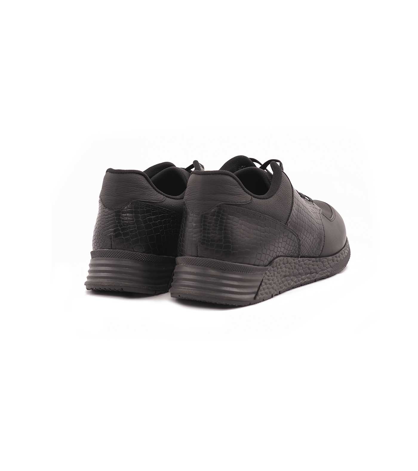 Arshia Sneaker