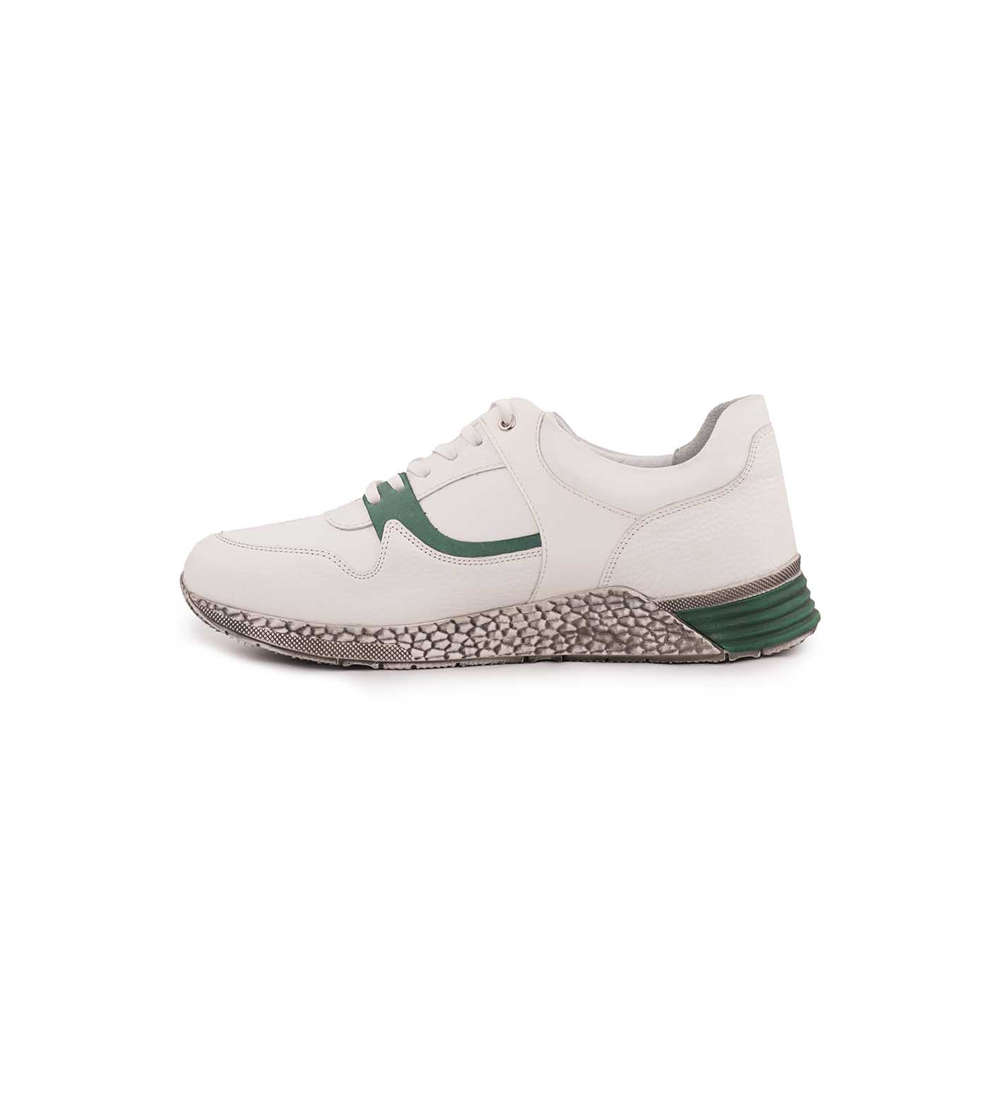 Arshia Sneaker Tacon