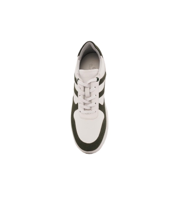 Rayka Lace Stripes