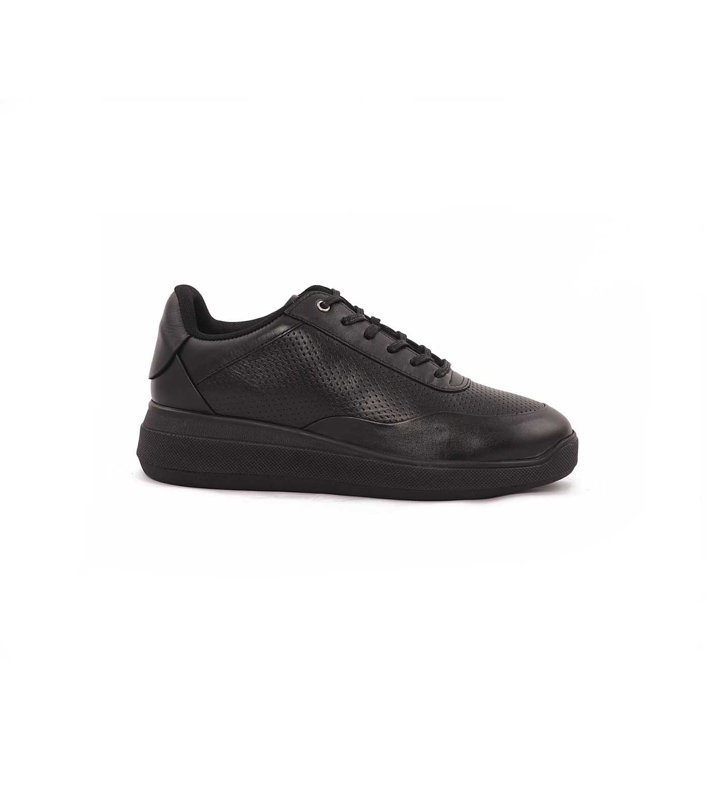 Argon Lace II