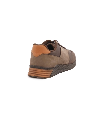 Arshia Sneaker