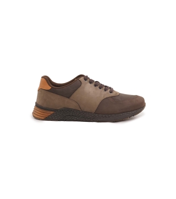 Arshia Sneaker