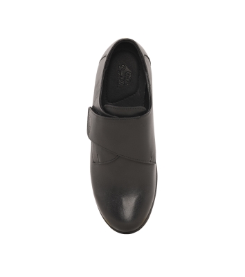 Artenus QF II