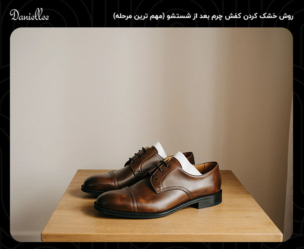 تمیز کردن کفش چرم: بهترین روش ‌های شستشو بدون آسیب