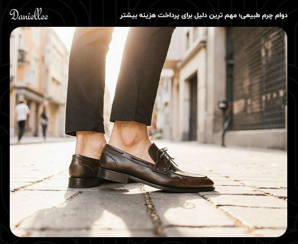 مزایا چرم طبیعی، آیا ارزش خرید دارد؟